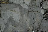 Cut/Polished Hematite Slice - Planet Peak, Arizona #177932-1